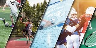 大谷翔平在国际球迷中的影响力